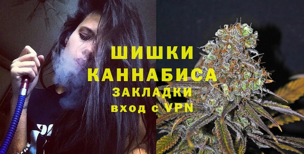 PSILOCYBIN Балахна