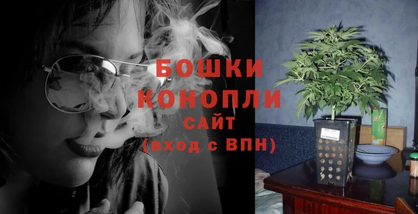 сатива Сясьстрой